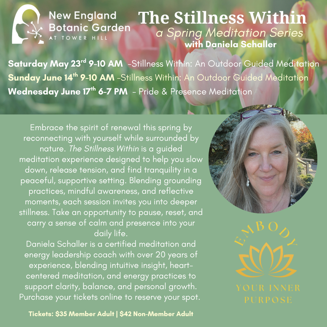 Reconnecting With Yourself